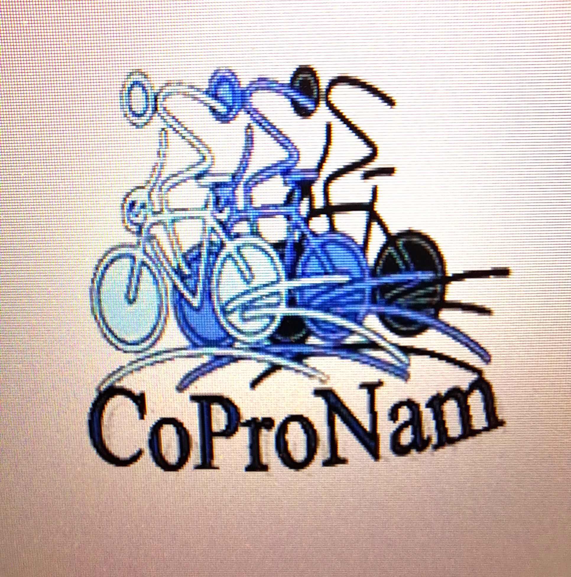 Comité Provincial Namurois