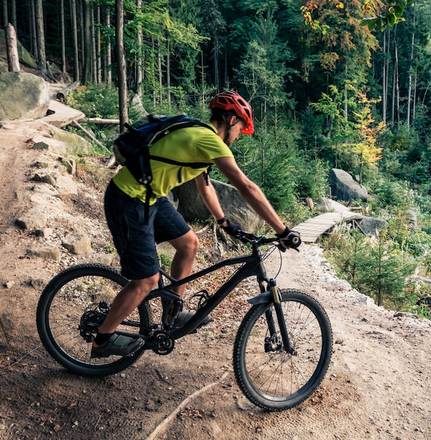 AGSE VTT  Les Essarts le Roi